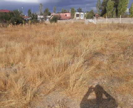 DİŞLİ KÖYÜNDE 708 M2 BAHÇE YERİ
